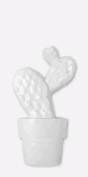 Vives Satinados Cactus - C Blanco Mate