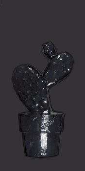Vives Satinados Cactus - B Negro Mate
