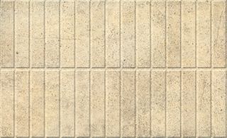 Gardenia Orchidea Pietre del sole MOSAICO BEIGE