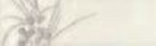 Gardenia Orchidea Stone design LISTELLO FLOREALE BIANCO LEVIGATO