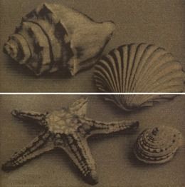 Settecento Zen-sation Sea Life Moka A+B 