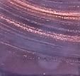 Rose Mosaic Gold star Series (G) G40