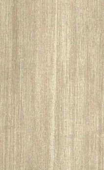 Marca corona Philosophy Philosophy Acero