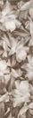 Piemme (Valentino) Atelier VC 518 bordura lilium moka