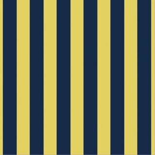 Petracers Grand Elegance RG 11-12 Riga Grande Blu su Giallo Ocra