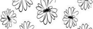 Halcon Blancos Flor Cen. Blanco