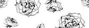 Halcon Blancos Roses Cen. Blanco
