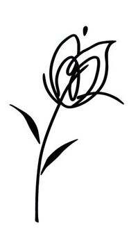Halcon Blancos Decor Tulipan Blanco