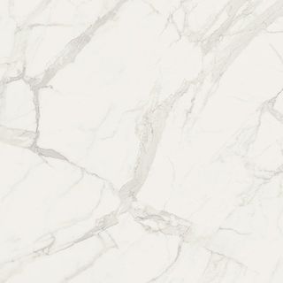 Fioranese Marmorea Bianco Statuario Matt