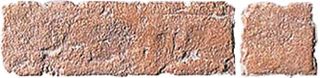 Rex Metrowall Cotto