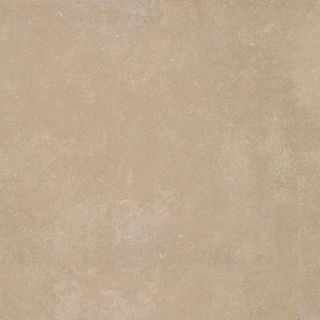 Exagres Projectker Beige Clase 3