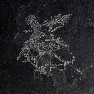 La fabbrica Pietra lavica Aquila Gryphea