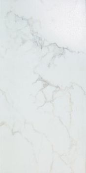 Imola Ceramica Maxima Carrara100LP
