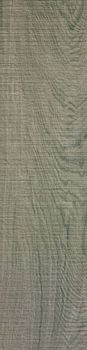 Atlas Concorde Etic Rovere Grigio