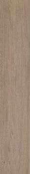 Atlas Concorde Etic Rovere Grigio