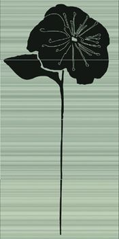 Viva Black is back CR4/344 Helleborus Platino Comp.4