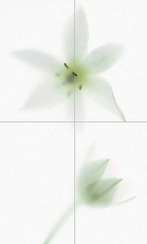 Viva Floranova TD4/002 Novagrey Comp B/4