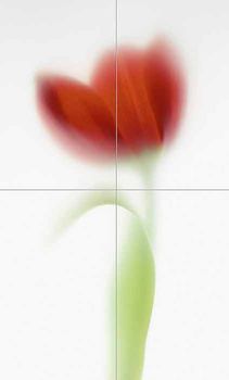Viva Floranova TD4/003 Novared Comp C/4