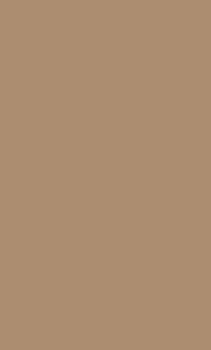 Viva Floranova Esprit Beige Rettificato