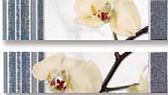 Peronda Lux-r C. Orquidea/R (Цена за комплект, 2 шт.)