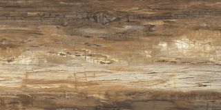 Graniti Fiandre Eminent Wood Maximum Eminent Brown Lucidato