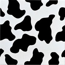 Steuler Moooh 44508