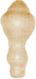 Candia valpanaro Colloseum Ang. Lond Beige