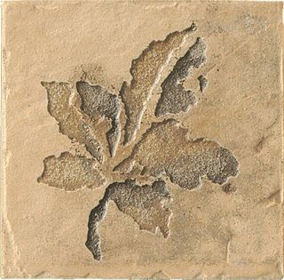 Cir & Serenissima Quarry stone Inserto Fossili S/2 Sand