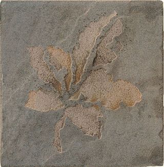 Cir & Serenissima Quarry stone Inserto Fossili S/2 Forest