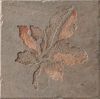 Cir & Serenissima Quarry stone Inserto Fossili S/2 Slate