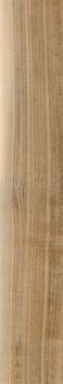 Yurtbay Pine Oak Gl Por Tile