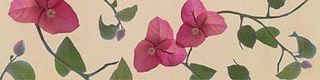 RHS Sky Cream Bougenille