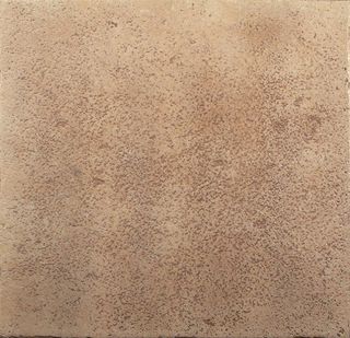 Exagres Vega Camel