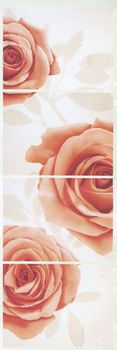 Dado Beauty matt COMP.ROSMARY