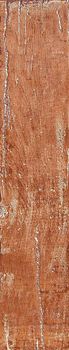 Venus Petrified forest Gold brown