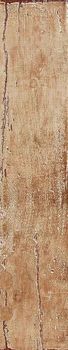 Venus Petrified forest Gold Beige