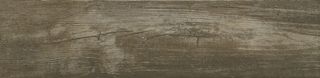 Serenissima Timber city Green Island