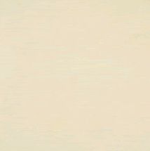 RAK Ceramics 60Х60 GP-1A матовый