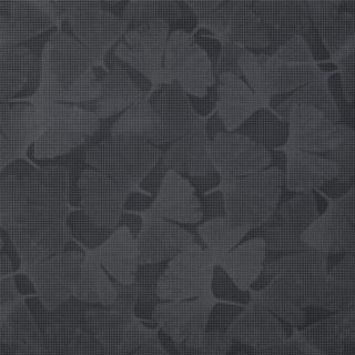 Atlas Concorde Move Black Inserto Leaf