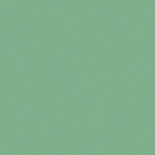 Atlas concorde Color System Kiwi