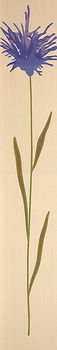Fap For love Flowers Beige Inserto B Mix2
