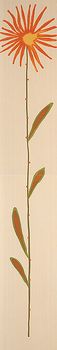 Fap For love Flowers Beige Inserto C Mix 2