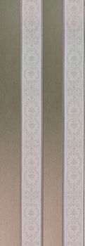 Venis Cotton Listado Cotton Gris