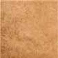 Gardenia orchidea Elementi Beige