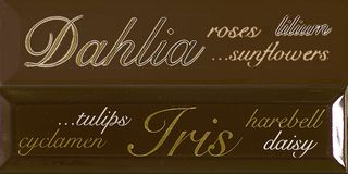 ABK Etoile Listello lettering Moka 