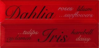 ABK Etoile Listello lettering Rosso (2 part.) 
