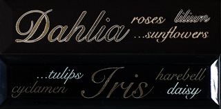 ABK Etoile Listello lettering Nero (2 part.) 