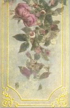 Azahar Angelo Fresco C