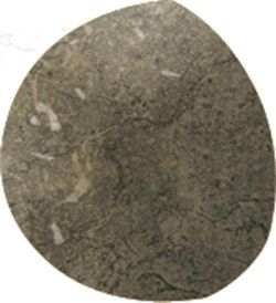 Gardenia (Versace) Palace Riv. Palace Goc.Mat.Nero