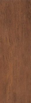 STN Forest cognac